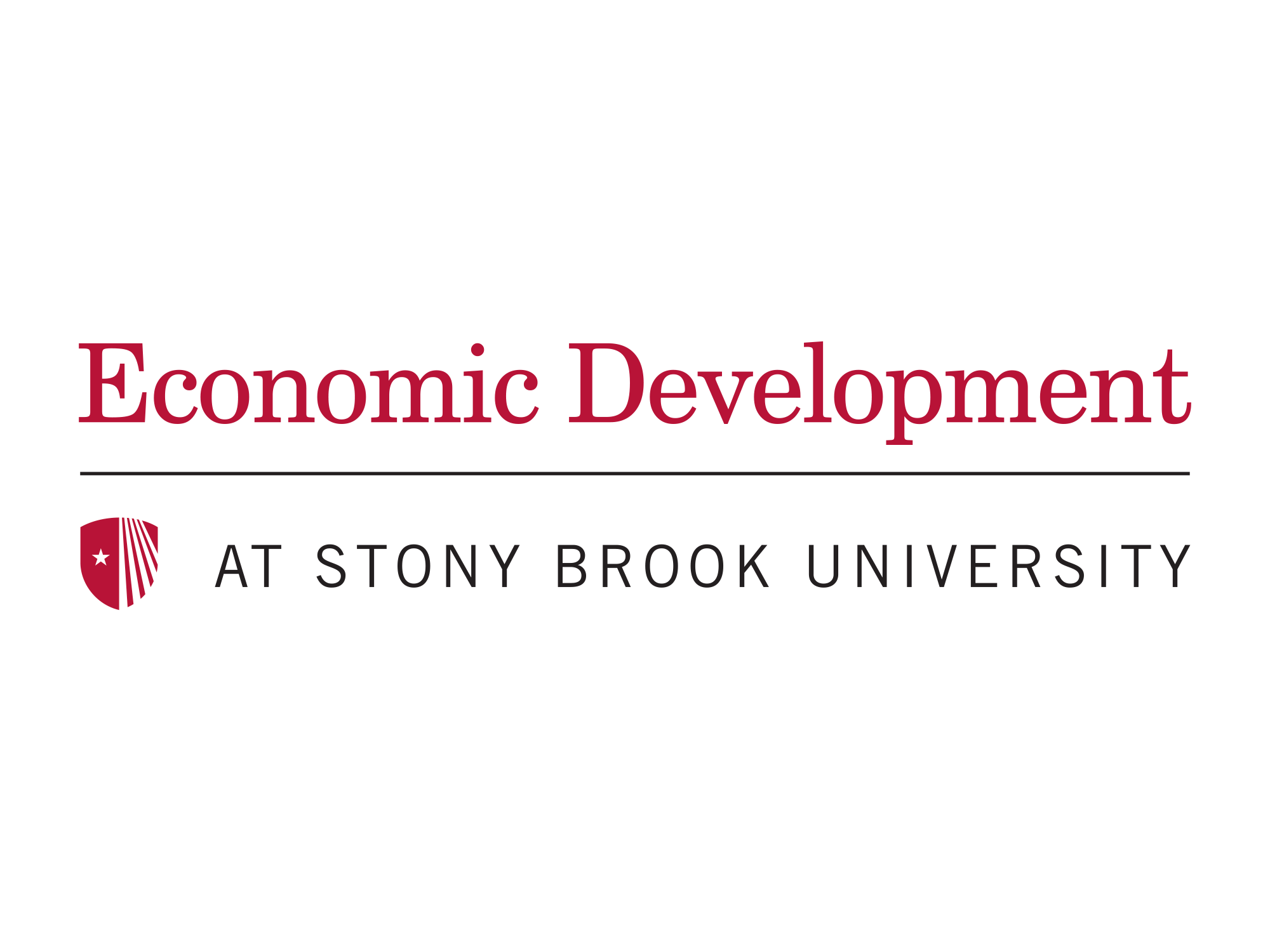 Stony Brook University